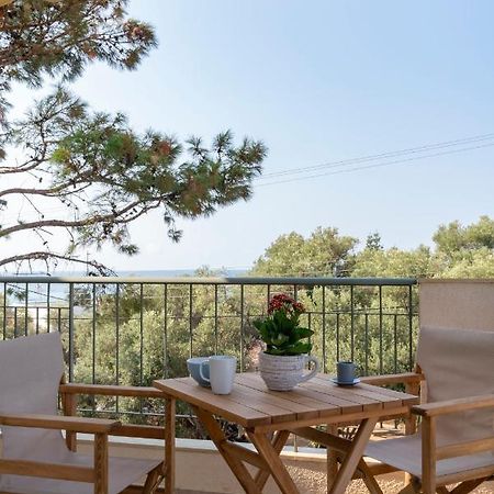 Alexandros Maisonettes & Apartments نيا موذانيا المظهر الخارجي الصورة