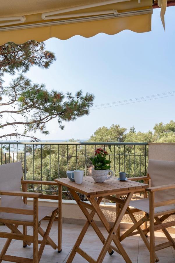 Alexandros Maisonettes & Apartments نيا موذانيا المظهر الخارجي الصورة