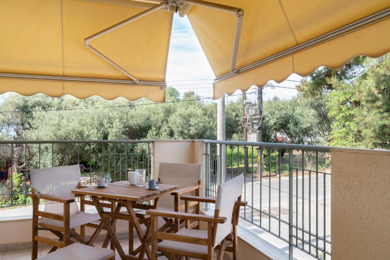 Alexandros Maisonettes & Apartments نيا موذانيا المظهر الخارجي الصورة